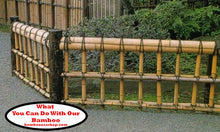 Load image into Gallery viewer, Bamboo Poles -Huge Flamed Bamboo Poles (4.0 Diam. x 1 ft-7.0 ft Length)