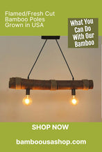 Load image into Gallery viewer, Bamboo Poles -Flamed Large-3.0" Diameter--1.0 ft-7.0 ft Length