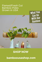 Load image into Gallery viewer, Bamboo Poles -Flamed Large-3.0" Diameter--1.0 ft-7.0 ft Length