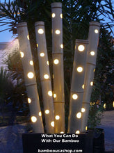Load image into Gallery viewer, Bamboo Poles -Huge Flamed Bamboo Poles (4.0 Diam. x 1 ft-7.0 ft Length)
