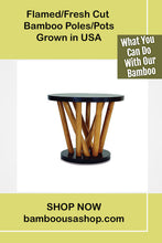Load image into Gallery viewer, Bamboo Poles -Flamed Large-3.5" Diameter--1.0 ft-7.0 ft Length
