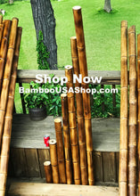 Load image into Gallery viewer, Bamboo Poles -Flamed Large-3.0" Diameter--1.0 ft-7.0 ft Length - bamboousashop.com