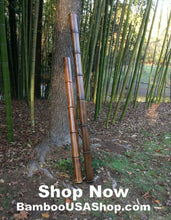 Load image into Gallery viewer, Bamboo Poles -Lot of (2) Giant Flamed Bamboo Poles (4" dia x 1'-7' length) - bamboousashop.com