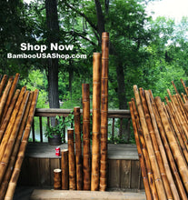 Load image into Gallery viewer, Bamboo Poles -Lot of (2) Giant Flamed Bamboo Poles (4" dia x 1'-7' length) - bamboousashop.com