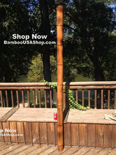 Load image into Gallery viewer, Bamboo Poles -Lot of (2) Giant Flamed Bamboo Poles (4" dia x 1'-7' length) - bamboousashop.com