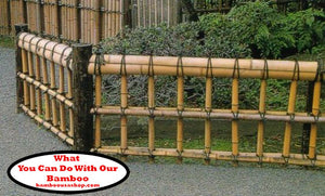 Bamboo Poles -Huge Flamed Bamboo Poles (4.5" Diam. x  1 ft-7.0 ft Length)