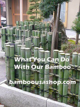 Load image into Gallery viewer, Bamboo Poles-Fresh Cut Natural Bamboo (3.5 inch Diameter, choose from 1 to 7 feet long - BambooUSAShop