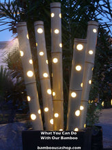 Load image into Gallery viewer, Bamboo Poles -Huge Flamed Bamboo Poles (4.5" Diam. x 1 ft-7.0 ft Length)