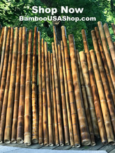Load image into Gallery viewer, Bamboo Poles-Fresh Cut Natural Bamboo (1.5 inch Diameter, choose from 1 to 7 feet long)-Lot of 2 - BambooUSAShop