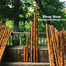 Load image into Gallery viewer, Bamboo Poles -Flamed Large-3.0" Diameter--1.0 ft-7.0 ft Length - bamboousashop.com