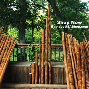 Bamboo Poles -Flamed Large-3.0" Diameter--1.0 ft-7.0 ft Length - bamboousashop.com