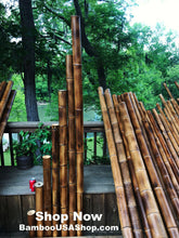 Load image into Gallery viewer, Bamboo Poles -Flamed Large-3.0" Diameter--1.0 ft-7.0 ft Length - bamboousashop.com