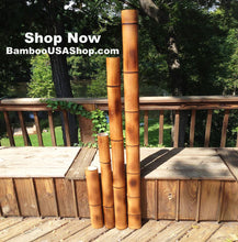 Load image into Gallery viewer, Bamboo Poles -Flamed Large-3.5" Diameter--1.0 ft-7.0 ft Length - bamboousashop.com