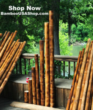 Load image into Gallery viewer, Bamboo Poles -Lot of (2) Giant Flamed Bamboo Poles (4" dia x 1'-7' length) - bamboousashop.com