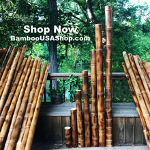Load image into Gallery viewer, Bamboo Poles -Lot of (2) Giant Flamed Bamboo Poles (4" dia x 1'-7' length) - bamboousashop.com