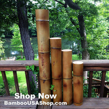 Load image into Gallery viewer, Bamboo Poles -Lot of (2) Giant Flamed Bamboo Poles (4" dia x 1'-7' length) - bamboousashop.com