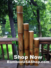Load image into Gallery viewer, Bamboo Poles -Lot of (2) Giant Flamed Bamboo Poles (4" dia x 1'-7' length) - bamboousashop.com