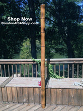 Load image into Gallery viewer, Bamboo Poles -Lot of (2) Giant Flamed Bamboo Poles (4" dia x 1'-7' length) - bamboousashop.com