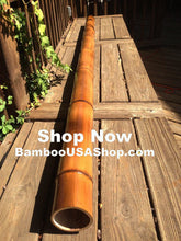 Load image into Gallery viewer, Bamboo Poles -Lot of (2) Giant Flamed Bamboo Poles (4" dia x 1'-7' length) - bamboousashop.com