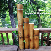 Load image into Gallery viewer, Bamboo Poles -Lot of (2) Giant Flamed Bamboo Poles (4" dia x 1'-7' length) - bamboousashop.com