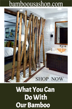 Load image into Gallery viewer, Bamboo Poles -Flamed Large-3.0" Diameter--1.0 ft-7.0 ft Length