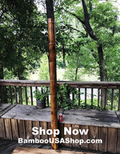 Load image into Gallery viewer, Bamboo Poles -Lot of (2) Giant Flamed Bamboo Poles (4" dia x 1'-7' length) - bamboousashop.com