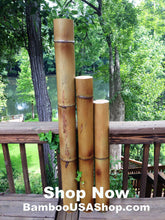 Load image into Gallery viewer, Bamboo Poles - Flamed Bamboo Poles (Set of 3- 4" Diameter)-Garden Landscape Bamboo Poles - (1) 3' (1) 4' (1) 5' Lengths) - bamboousashop.com