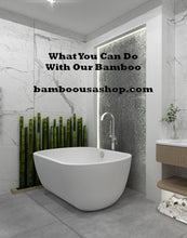 Load image into Gallery viewer, Bamboo Poles-Fresh Cut Natural Bamboo (3.5 inch Diameter, choose from 1 to 7 feet long - BambooUSAShop