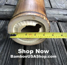 Load image into Gallery viewer, Bamboo Poles -Huge Flamed Bamboo Pole (4.5" Diam. x 1 ft-7.0 ft Length) - bamboousashop.com