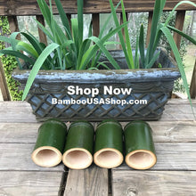 Load image into Gallery viewer, Bamboo Poles - Fresh Cut Green Bamboo - Lot of 4 - (4.0" Diameter x 6.0" Length) - Nodes Intact