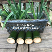 Load image into Gallery viewer, Bamboo Poles - Fresh Cut Green Bamboo - Lot of 4 - (4.0" Diameter x 6.0" Length) - Nodes Intact