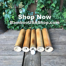 Load image into Gallery viewer, Bamboo Poles -Lot of 8 Flamed Bamboo Pole Pieces (2"- 2.5" diam. x 1 ft long) - bamboousashop.com