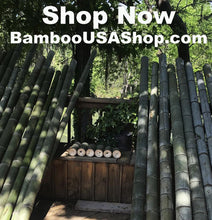 Load image into Gallery viewer, Bamboo Poles - Lot of (6) Green Bamboo Pieces (3.75" Diam. x 4" to 10" Length) - BambooUSAShop.com
