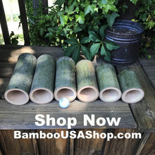 Load image into Gallery viewer, Bamboo Poles - Lot of (6) Green Bamboo Pieces (3.75" Diam. x 4" to 10" Length) - BambooUSAShop.com