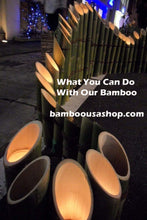 Load image into Gallery viewer, Bamboo Poles - Fresh Cut Green Bamboo - Lot of 4 - (4.0&quot; Diameter x 6.0&quot; Length) - Nodes Intact
