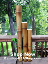 Load image into Gallery viewer, Bamboo Poles - Flamed Bamboo Poles (Set of 3- 4" Diameter)-Garden Landscape Bamboo Poles - (1) 3' (1) 4' (1) 5' Lengths) - bamboousashop.com