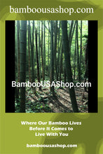 Load image into Gallery viewer, Bamboo Poles -Flamed Large-3.5&quot; Diameter--1.0 ft-7.0 ft Length
