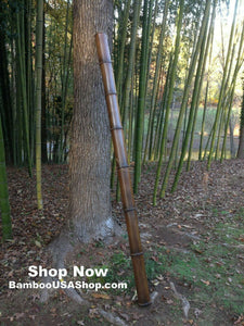 Huge Flamed Bamboo Poles (4.0 Diam. x 1 ft-7.0 ft Length)