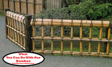 Load image into Gallery viewer, Bamboo Poles -Huge Flamed Bamboo Poles (4.0 Diam. x  1 ft-7.0 ft Length)
