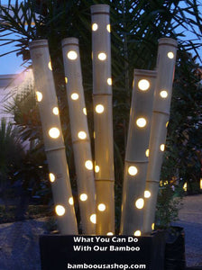 Bamboo Poles -Huge Flamed Bamboo Poles (4.0 Diam. x  1 ft-7.0 ft Length)