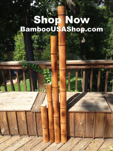 Bamboo Poles -Flamed Large-3.5" Diameter--1.0 ft-7.0 ft Length - bamboousashop.com