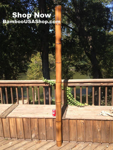 Bamboo Poles -Lot of (2) Giant Flamed Bamboo Poles (4" dia x 1'-7' length) - bamboousashop.com