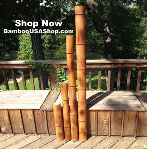 Bamboo Poles -Flamed Large-3.5" Diameter--1.0 ft-7.0 ft Length - bamboousashop.com