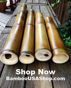 Bamboo Poles -Flamed Giant-4.0" Diameter--1.0 ft-7.0 ft Length