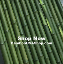 Load image into Gallery viewer, Bamboo Poles-Fresh Cut Natural Bamboo (2.0 inch Diameter, choose from 1 to 7 feet long) - BambooUSAShop
