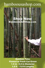 Load image into Gallery viewer, Bamboo Poles -Flamed Large-3.5&quot; Diameter--1.0 ft-7.0 ft Length - bamboousashop.com - Where Our Bamboo Lives
