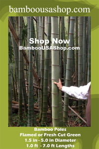 Bamboo Poles -Flamed Large-3.5" Diameter--1.0 ft-7.0 ft Length - bamboousashop.com - Where Our Bamboo Lives