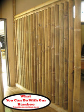 Load image into Gallery viewer, Bamboo Poles -Flamed Large-3.0&quot; Diameter--1.0 ft-7.0 ft Length
