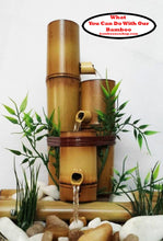 Load image into Gallery viewer, Bamboo Water feature -  what you can do with our bamboo - bamboousashop.com
