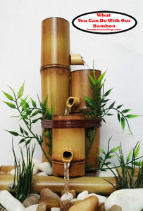 Bamboo Water feature -  what you can do with our bamboo - bamboousashop.com